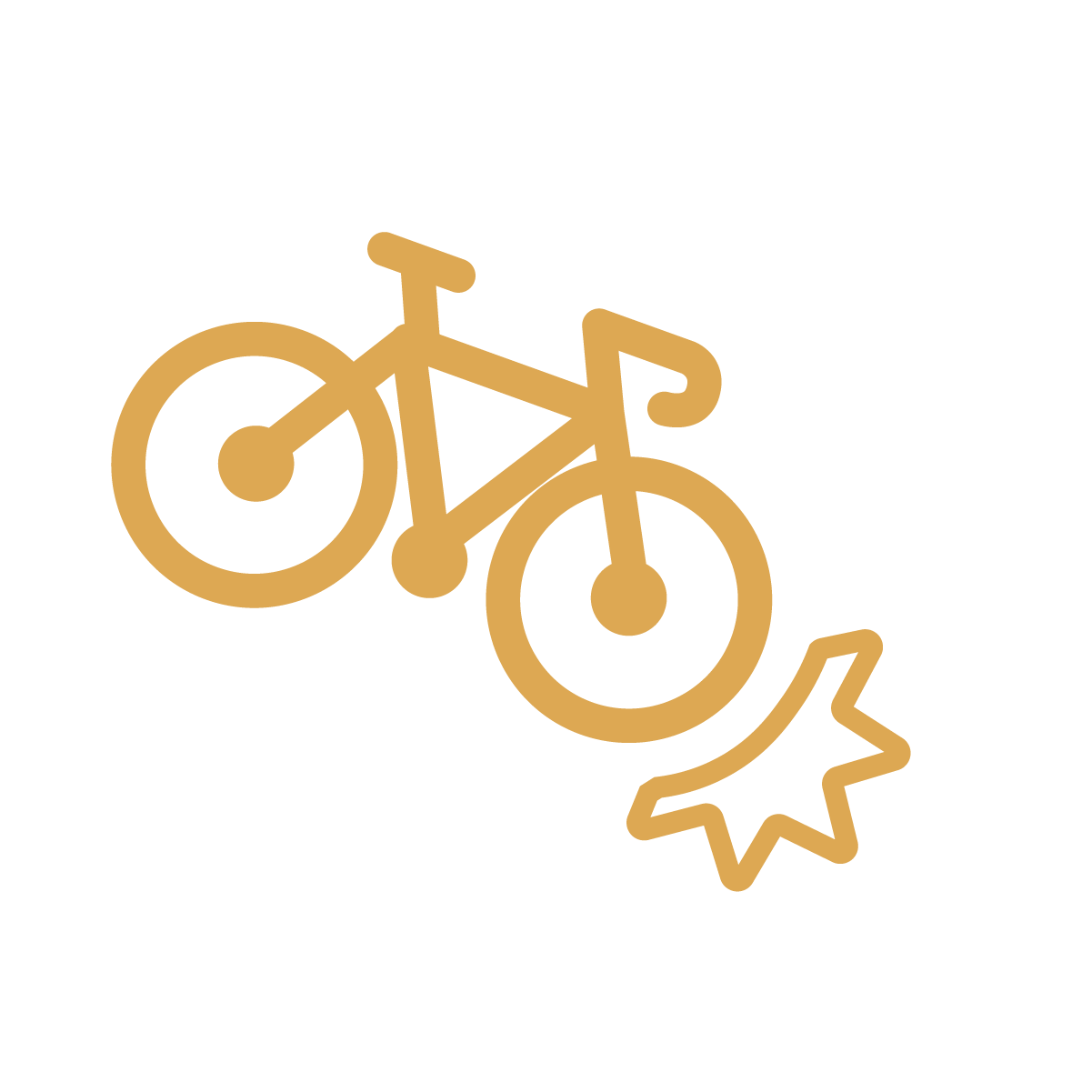 Bike Accidents